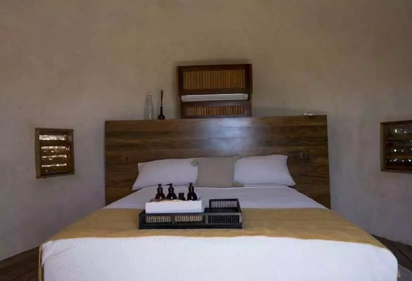 ホテル Casa Ku   Adults Only