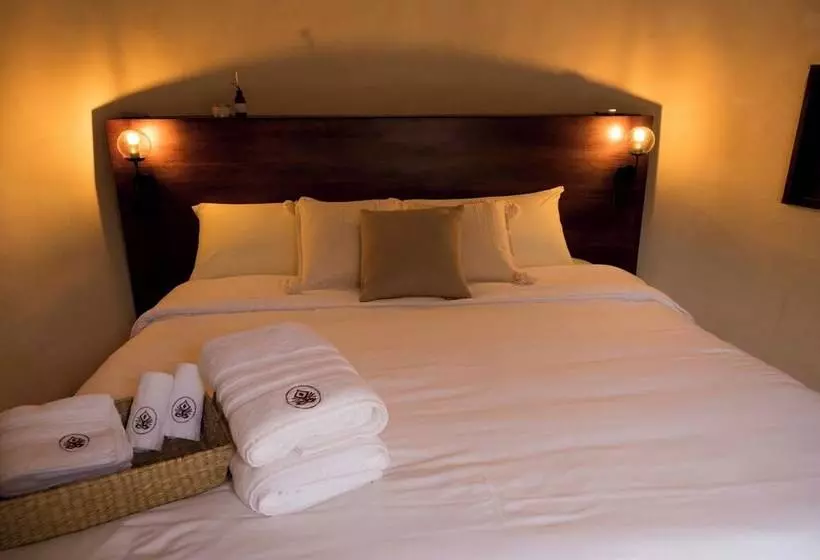 ホテル Casa Ku   Adults Only