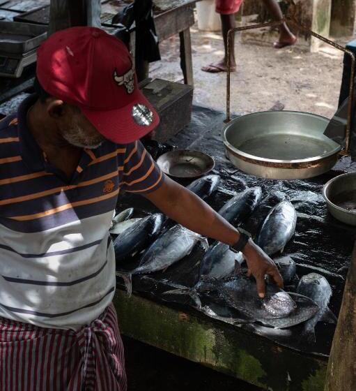 ホテル The Charleston