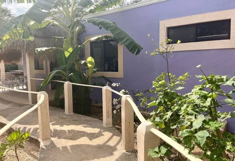 호텔 Villas Tikuch