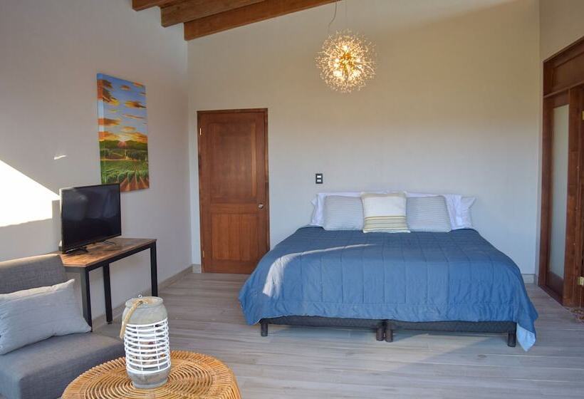 ホテル Viñedo Casa La Noria