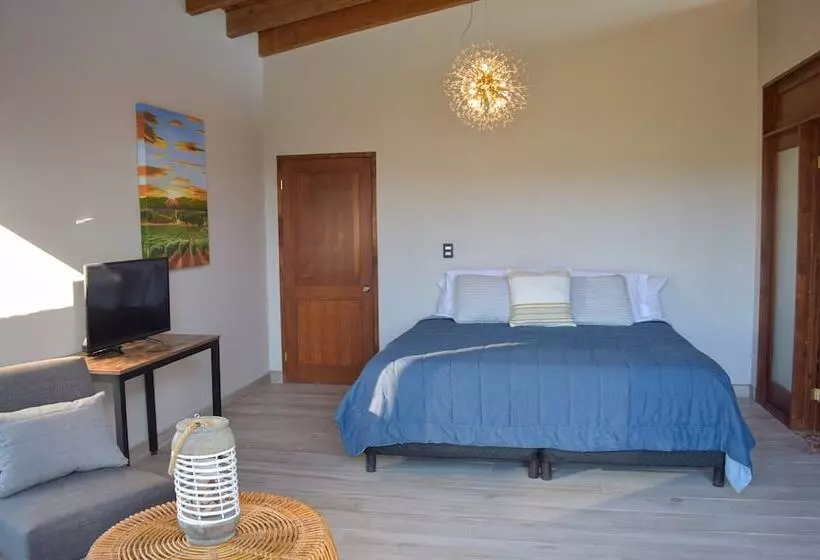 Hotelli Viñedo Casa La Noria