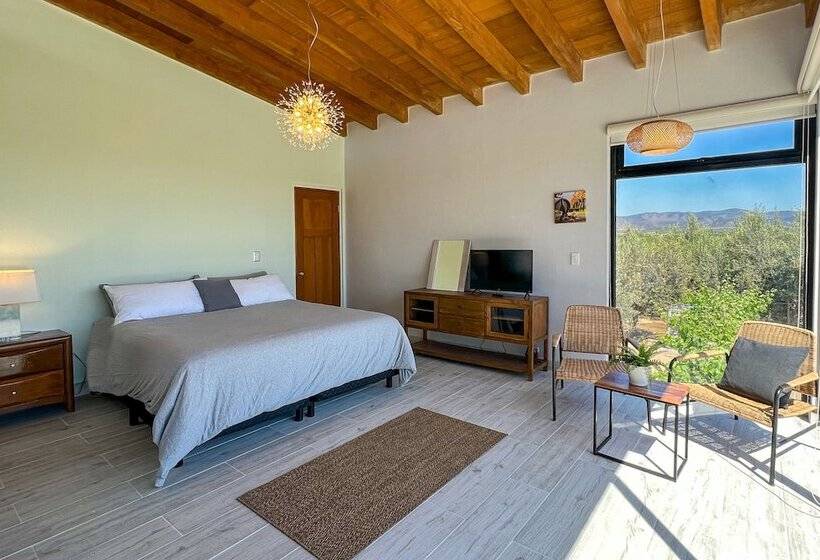 ホテル Viñedo Casa La Noria