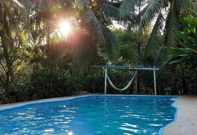 پانسیون Casa Colombre Palenque