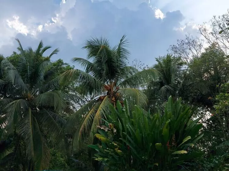 پانسیون Casa Colombre Palenque