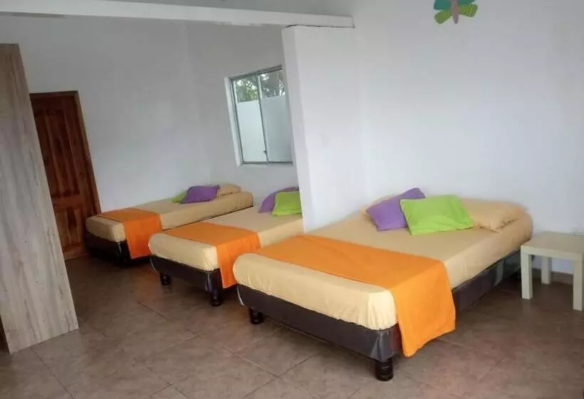 هاستل Olimpia Habitaciones Departamentos