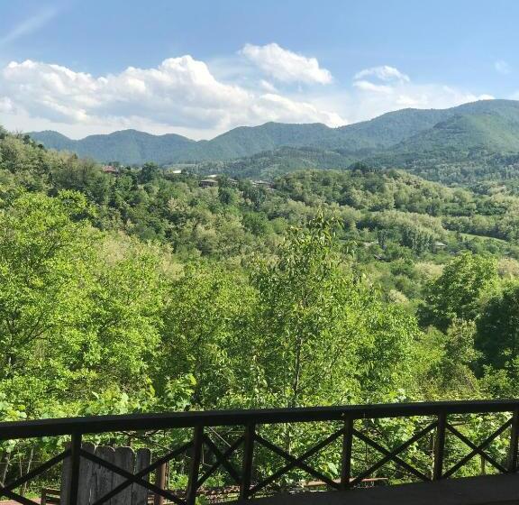 تختخواب و صبحانه Guest House Daviti