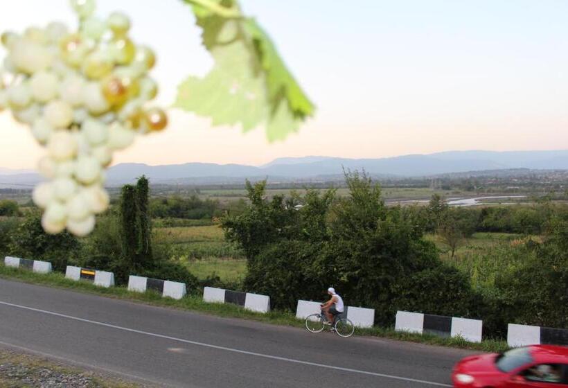 تختخواب و صبحانه Guest House Daviti