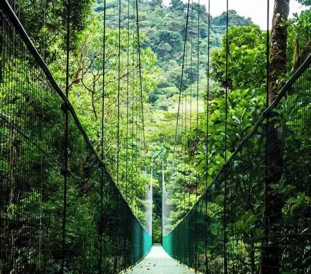 Hotelli Amalú Monteverde