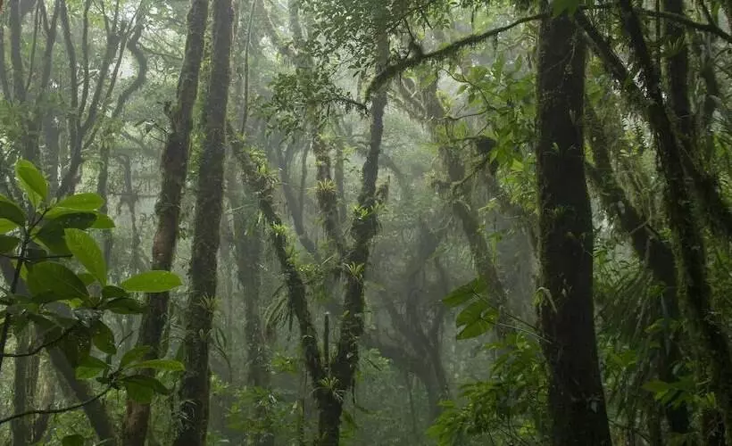 Hotelli Amalú Monteverde