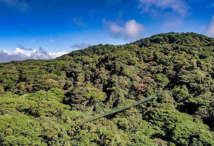 호텔 Amalú Monteverde