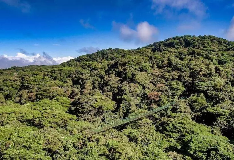 Hotelli Amalú Monteverde