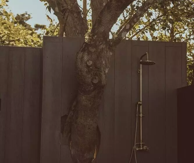 Hotelli Amalú Monteverde