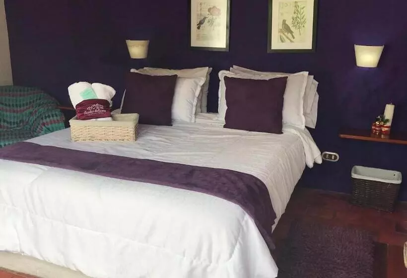 Hotelli Casitas Barro Iza Boyaca