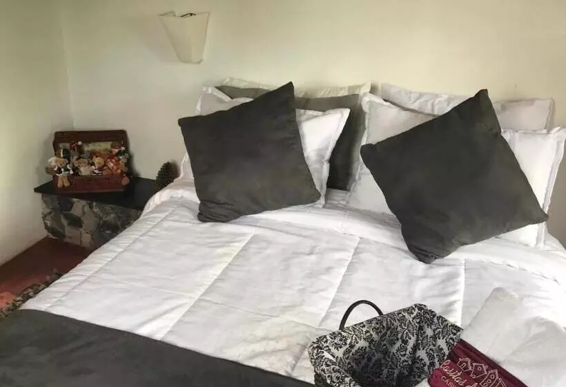 Hotelli Casitas Barro Iza Boyaca