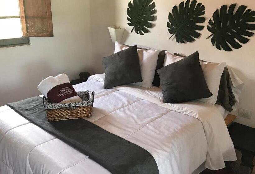 酒店 Casitas Barro Iza Boyaca