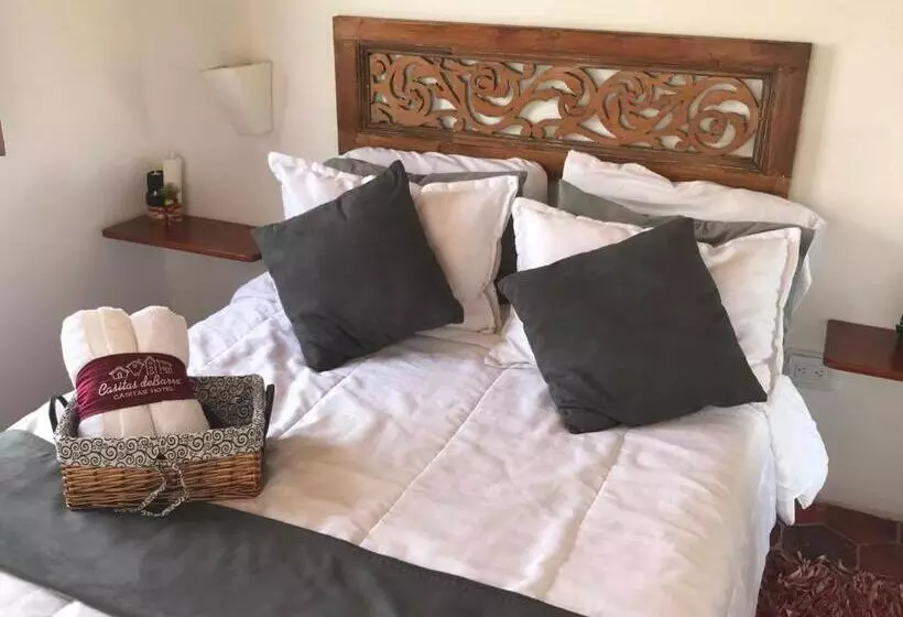 Hotelli Casitas Barro Iza Boyaca