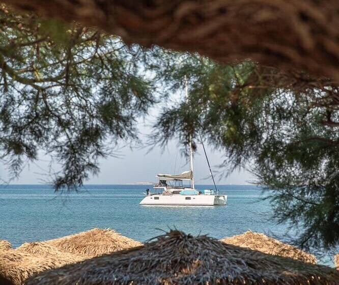 בית מלון כפרי Castello Studios