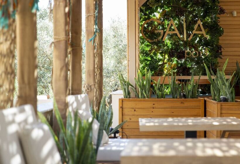 ホテル Gaia Kozbeyli