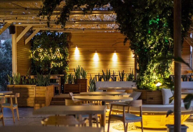 ホテル Gaia Kozbeyli