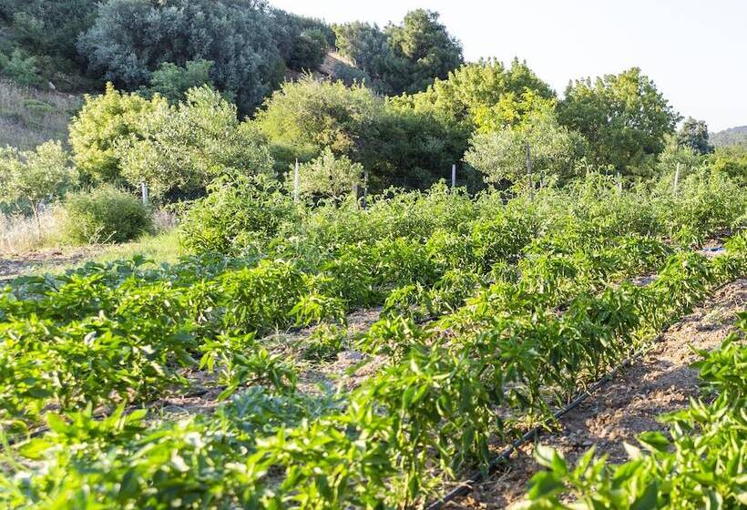 ホテル Gaia Kozbeyli