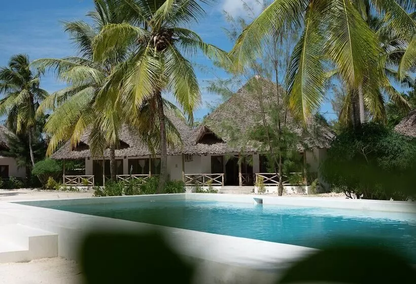 ホテル Joy Of Zanzibar