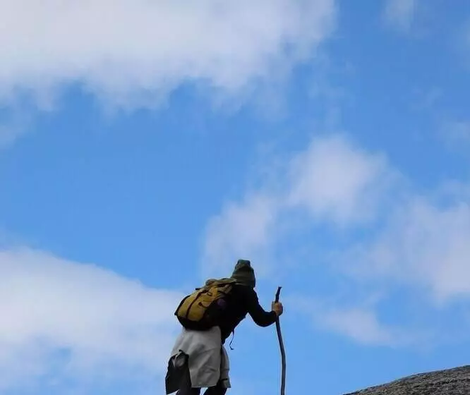 Hotelli La Tonna Safari