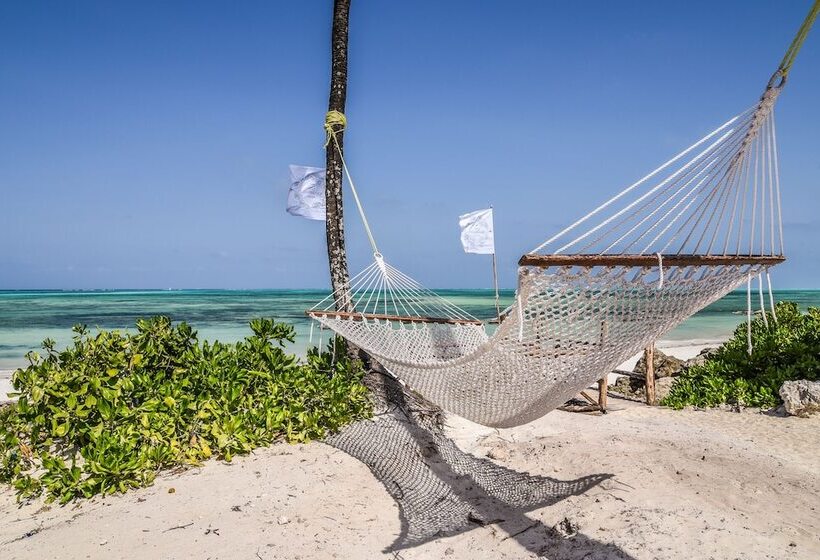 فندق Pili Pili Boutique Lodge