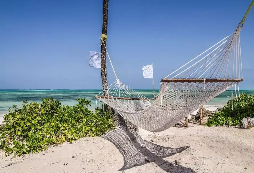 ホテル Pili Pili Boutique Lodge