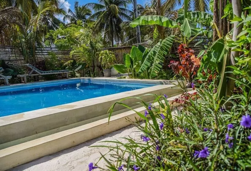 ホテル Pili Pili Boutique Lodge