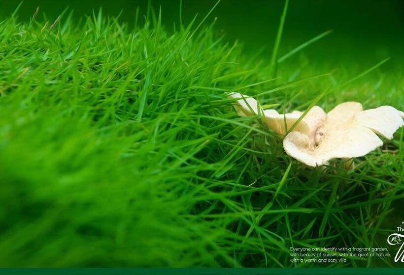 Отель The Kabok Villa By Vivanya