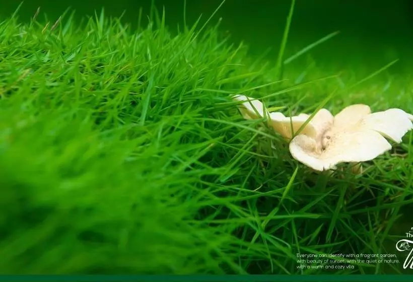 Hotelli The Kabok Villa By Vivanya