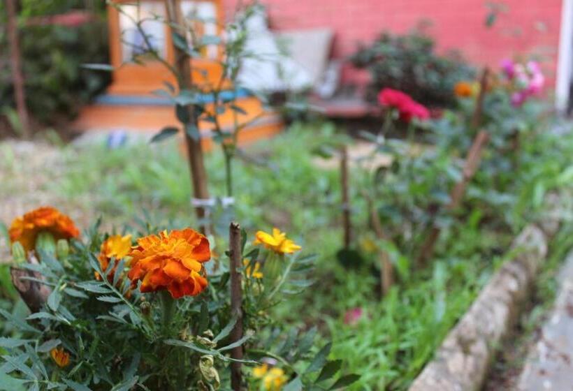 פנסיון Mhatre S Guest House