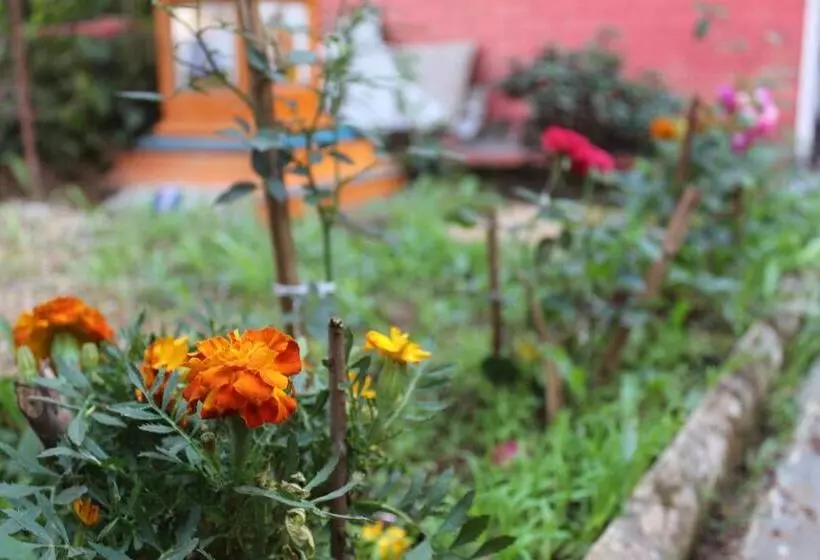 ペンション Mhatre S Guest House