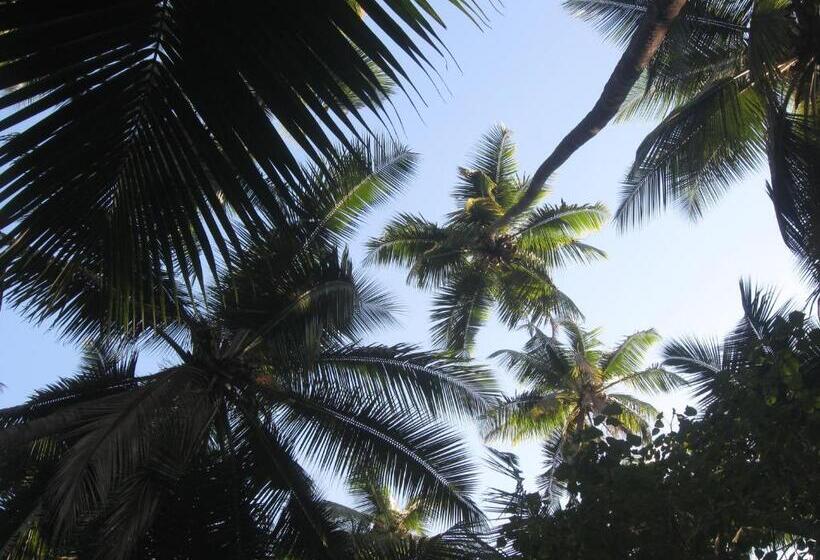 פנסיון Mhatre S Guest House