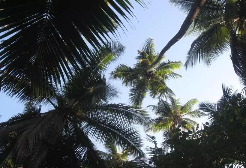 ペンション Mhatre S Guest House