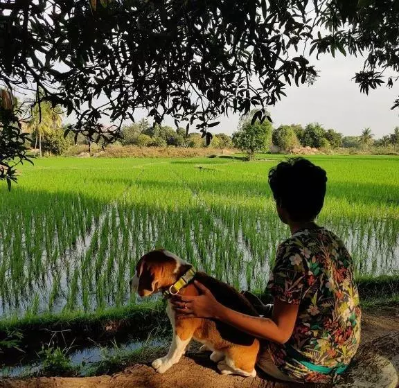 ペンション Sunrise Guest House & Restaurant