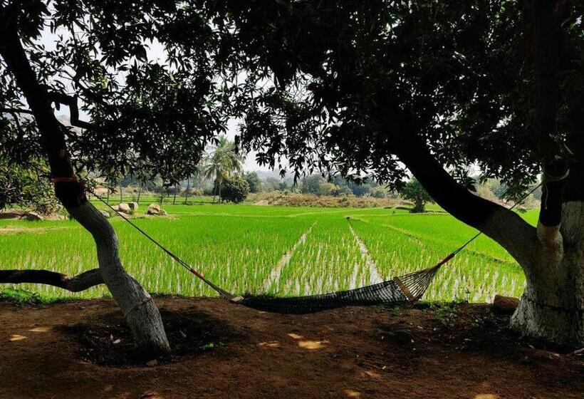 פנסיון Sunrise Guest House & Restaurant