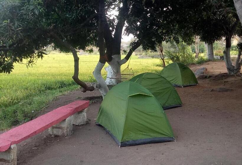 פנסיון Sunrise Guest House & Restaurant