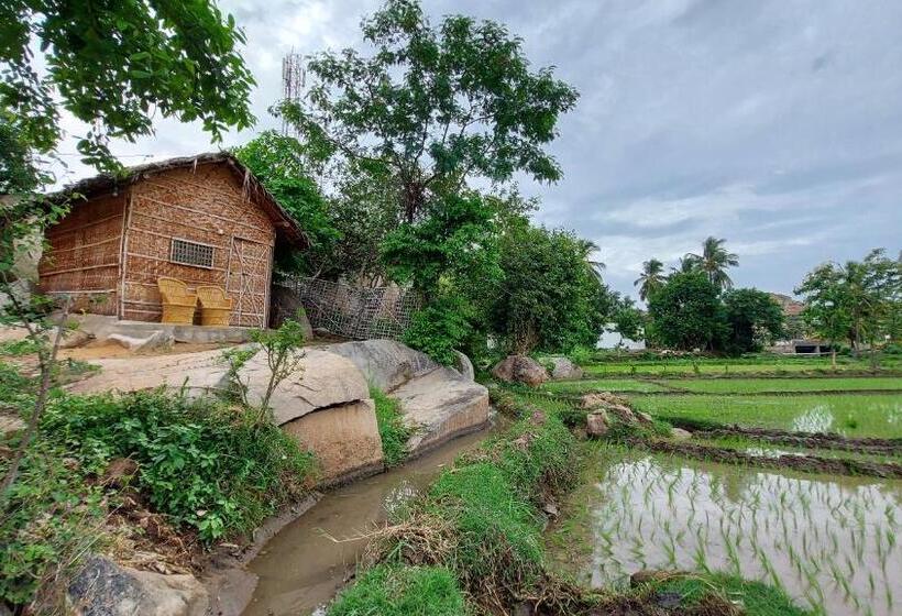 פנסיון Sunrise Guest House & Restaurant