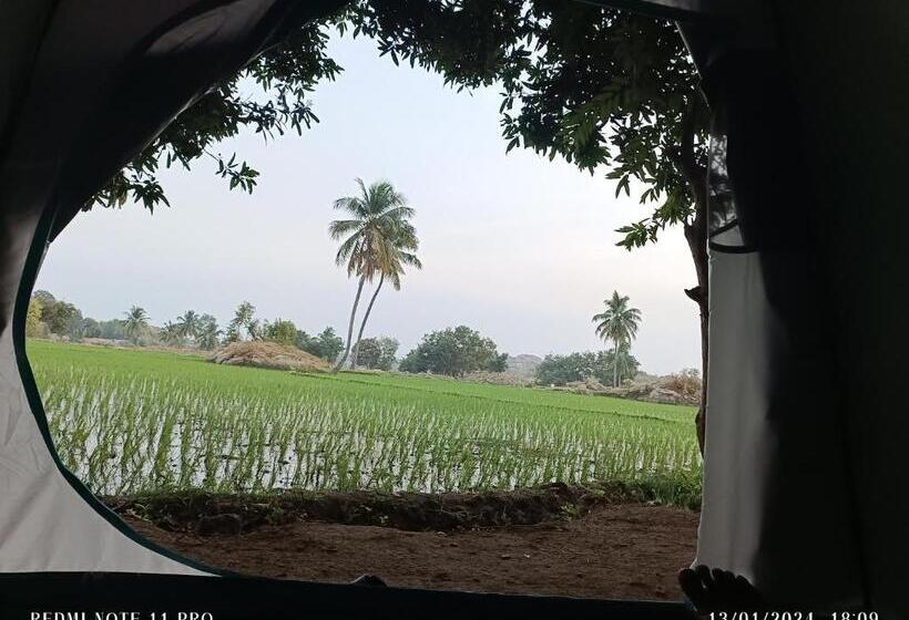 פנסיון Sunrise Guest House & Restaurant