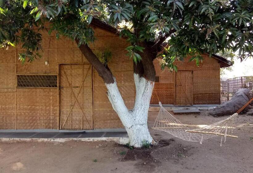 פנסיון Sunrise Guest House & Restaurant