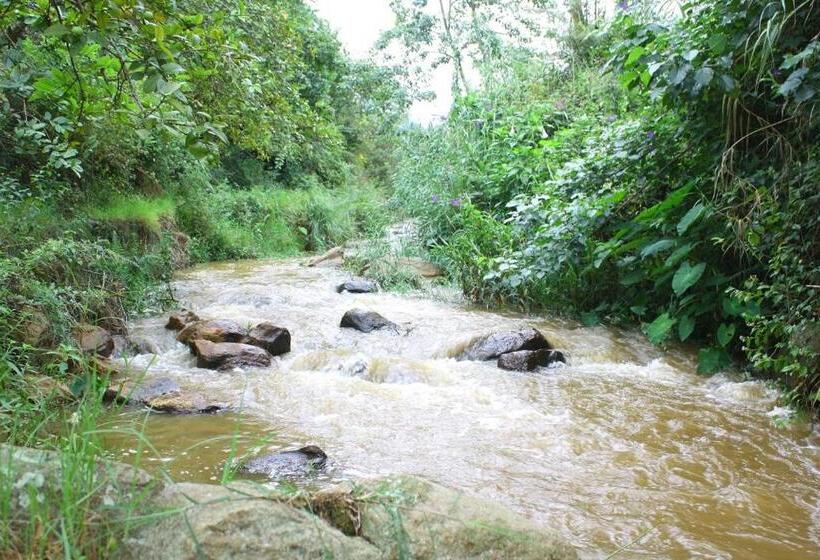 Rustling River Resort