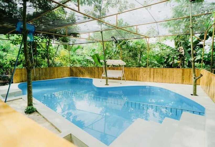 Vafi Hills Bed And Breakfast