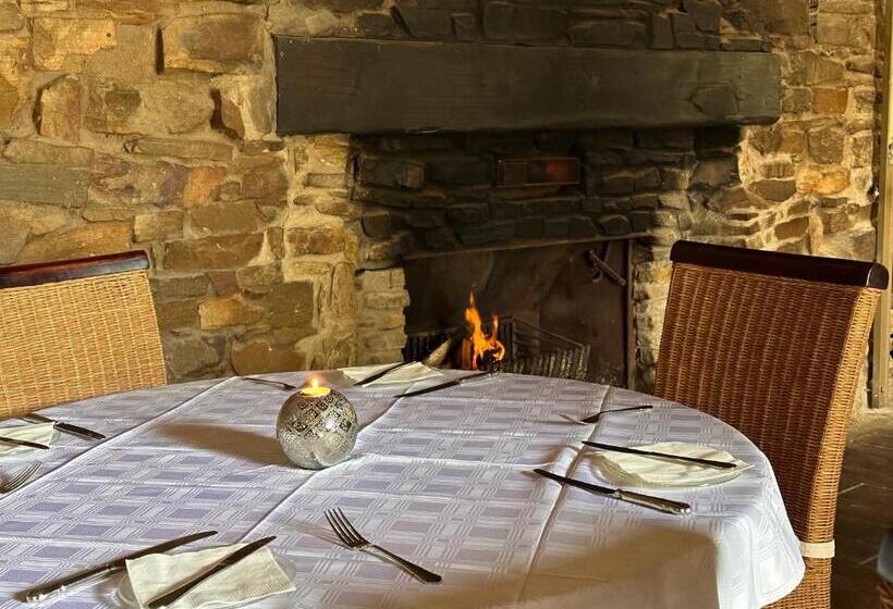 호스텔 Summerhill Inn