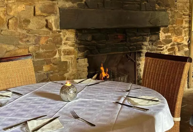 ユースホステル Summerhill Inn