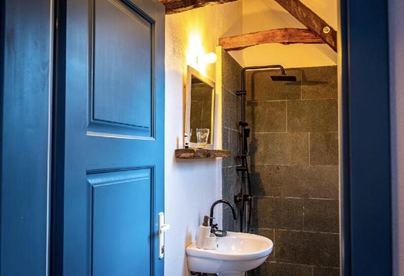 Bed and Breakfast Casa Veche Leheceni în Apuseni