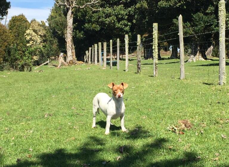 Bed and Breakfast Hua Huar Turismo Rural