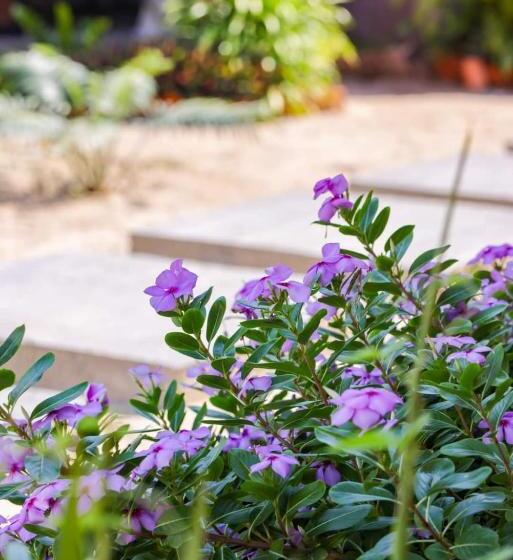 ベッドアンドブレックファースト Le Jardin Des Délices