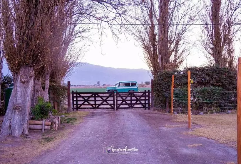ホテル Finca Los Olivos